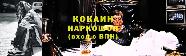 молекула духа Осташков
