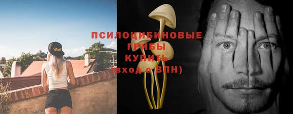прущие крисы Осинники