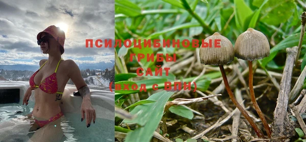 apvp Нягань