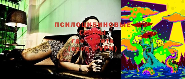 героин Няндома