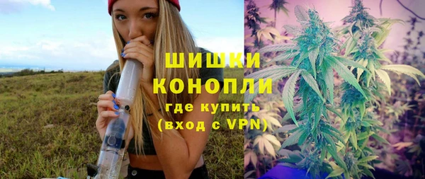 молекула духа Осташков