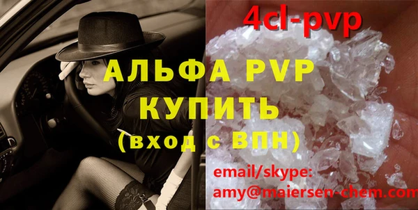 молекула духа Осташков