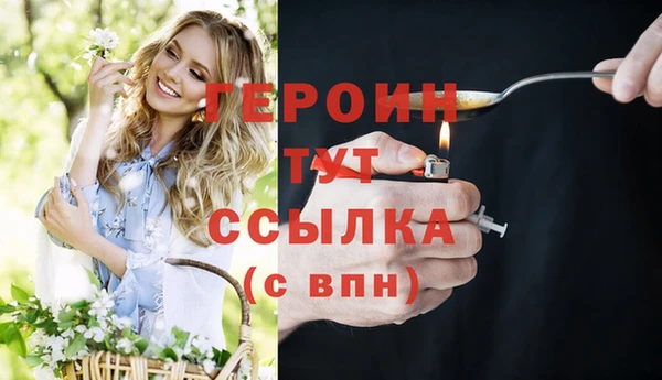 молекула духа Осташков