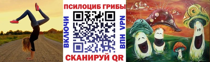 купить   Белый  Псилоцибиновые грибы Psilocybine cubensis 